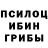 Галлюциногенные грибы мицелий flexterzy
