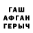 ГАШ 40% ТГК Scheid Michel