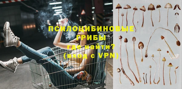 тгк Абинск