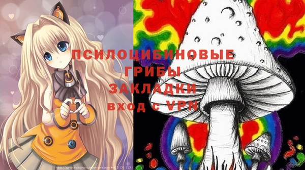 шишки Абдулино