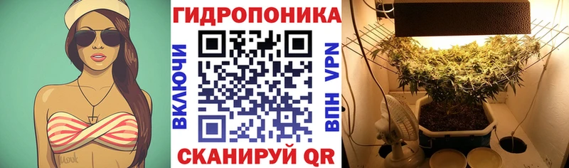 Шишки марихуана планчик  Рыльск 